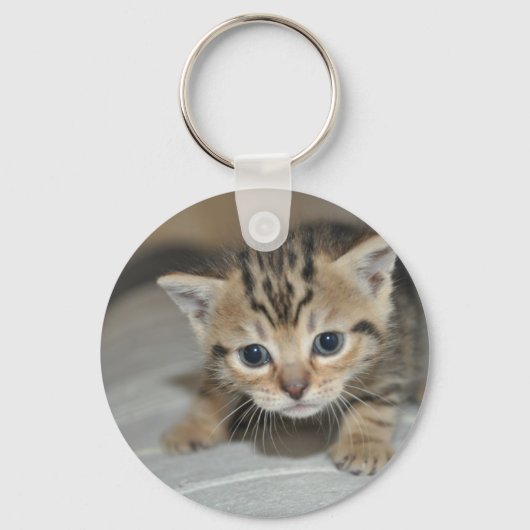 かわいい子猫 キーホルダー (正面)