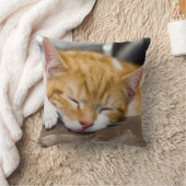 かわいい子猫 クッション (ブランケット)