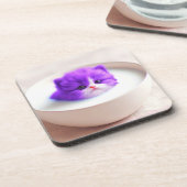 かわいい子猫 コースター (左側)