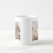 かわいい子猫 コーヒーマグカップ (中央)