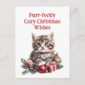 かわいい子猫 シーズンポストカード (正面)