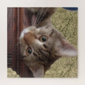 かわいい子猫 ジグソーパズル (横)