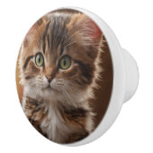 かわいい子猫 セラミックノブ (右)
