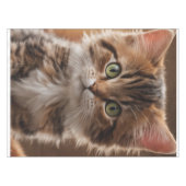 かわいい子猫 テーブルクロス (正面(横))