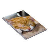 かわいい子猫 ノートブック (右側)