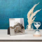 かわいい子猫 フォトプラーク (インサイチュ)