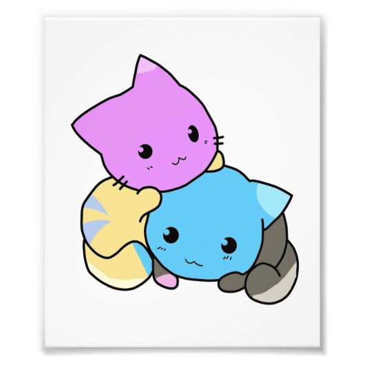 かわいい子猫 フォトプリント            (正面)