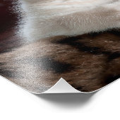 かわいい子猫 フォトプリント            (角)