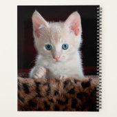 かわいい子猫 プランナー手帳 (裏面)