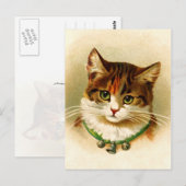 かわいい子猫（ベルカラー） ポストカード (正面/裏面)