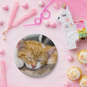 かわいい子猫 ペーパープレート (パーティー)