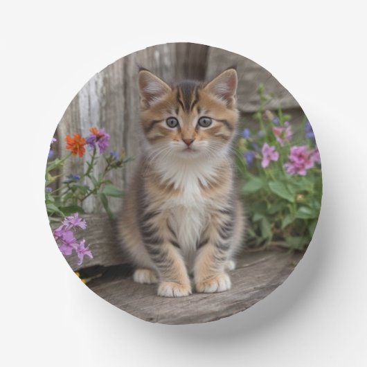 かわいい子猫 ペーパーボウル (正面)