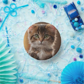 かわいい子猫 ペーパーボウル (パーティー)