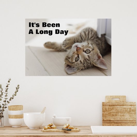 かわいい子猫 ポスター (キッチン)