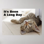 かわいい子猫 ポスター (正面)