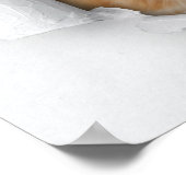 かわいい子猫 ポスター (角)