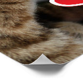 かわいい子猫 ポスター (角)