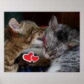 かわいい子猫 ポスター (正面)