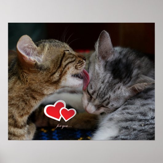 かわいい子猫 ポスター (正面)