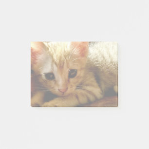 かわいい子猫 ポストイット