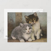 かわいい子猫 ポストカード (正面/裏面)