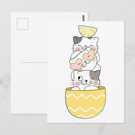 かわいい子猫 ポストカード (正面/裏面)