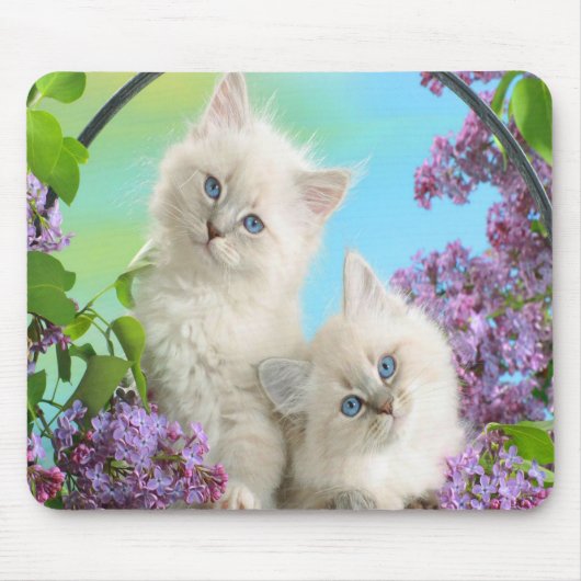 かわいい子猫 マウスパッド (正面)