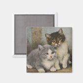 かわいい子猫 マグネット (正面/裏面)