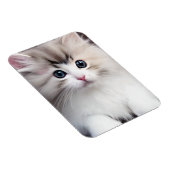 かわいい子猫 マグネット (右側)