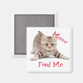 かわいい子猫 マグネット (正面/裏面)