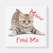 かわいい子猫 マグネット (正面)