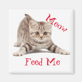 かわいい子猫 マグネット