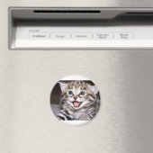 かわいい子猫 マグネット (インサイチュ (食洗機))