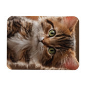 かわいい子猫 マグネット (横)