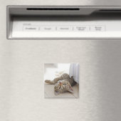 かわいい子猫 マグネット (インサイチュ (食洗機))