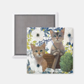 かわいい子猫 マグネット (正面/裏面)