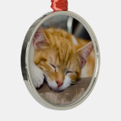 かわいい子猫 メタルオーナメント (右)