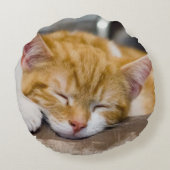 かわいい子猫 ラウンドクッション (裏面)