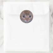かわいい子猫 ラウンドシール (バッグ)