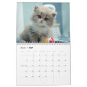 かわいい子猫 2027 カレンダー (3月 2027)