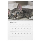 かわいい子猫 2027 カレンダー (2月 2027)