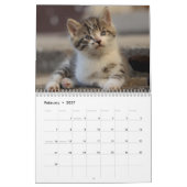 かわいい子猫 2027 ベンガルトラ カレンダー (2月 2027)