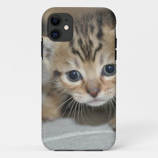 かわいい子猫 Case-Mate iPhoneケース (裏面)