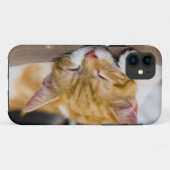 かわいい子猫 Case-Mate iPhoneケース (裏面(横))