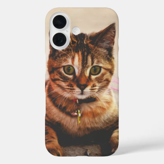 かわいい子猫 Case-Mate iPhoneケース (裏面)