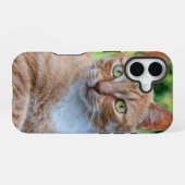 かわいい子猫 iPhone 16ケース (裏面横)