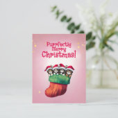 かわいい子猫inストッキングフェスティバルクリスマス シーズンカード (スタンド正面)