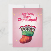 かわいい子猫inストッキングフェスティバルクリスマス シーズンカード (正面)