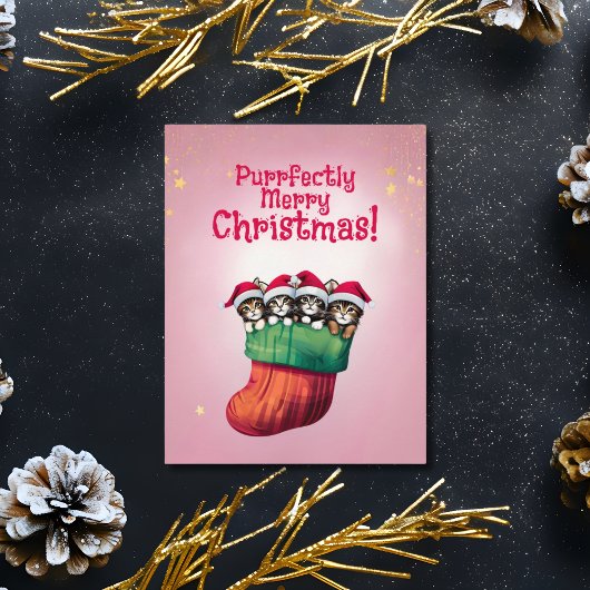かわいい子猫inストッキングフェスティバルクリスマス シーズンカード