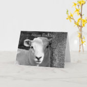 かわいい子羊 カード (黄色い花)